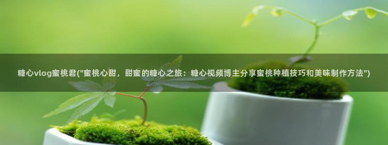 糖心vlog 糖心传媒:糖心vlog蜜桃