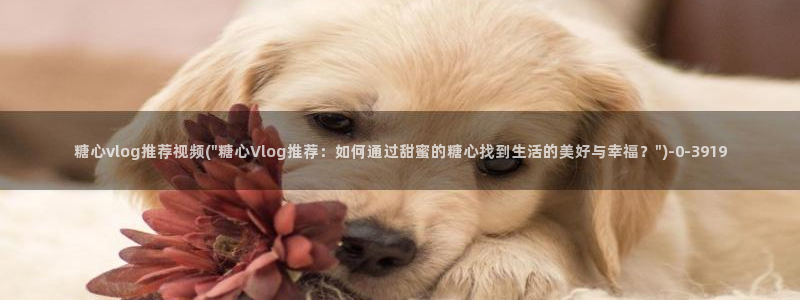 糖心vlog 过期:糖心vlog推荐视频