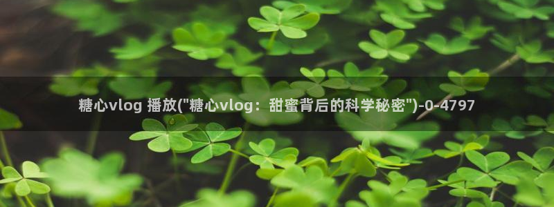 糖心vlog原版mv:糖心vlog 播放