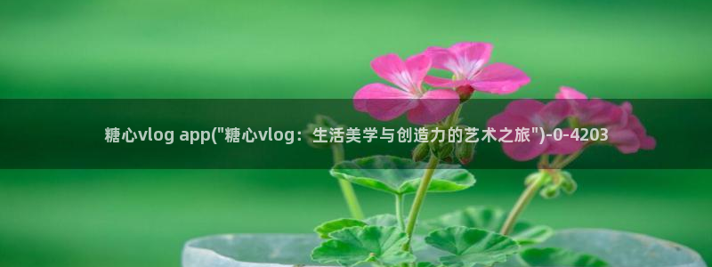 糖心vlog苹果破解:糖心vlog ap